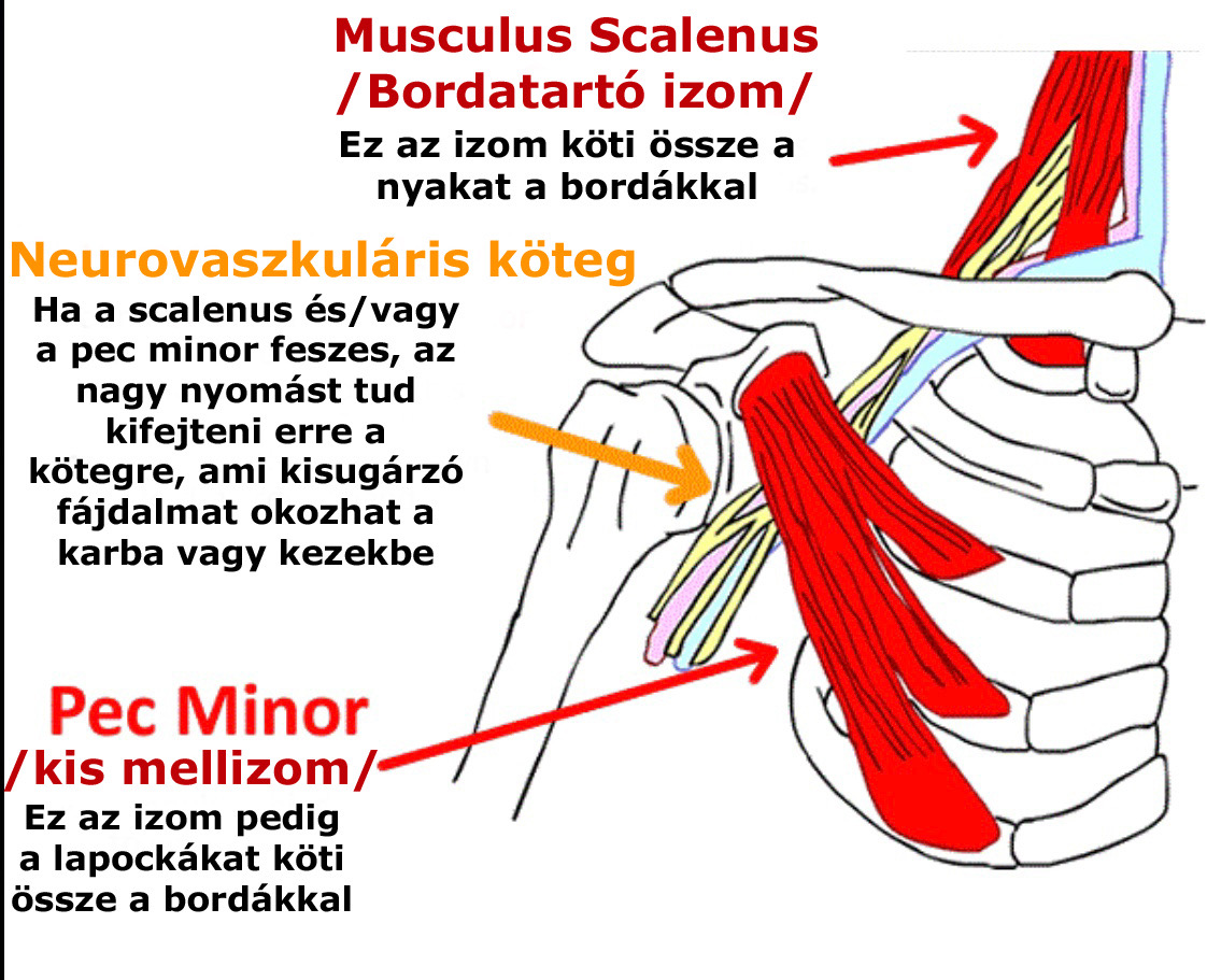 nyaki alagút szindróma)